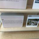 김씨네꽃생활 - 강동구 양재대로134길 51 | 바른 어른이의 삶