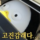 한자자격 이미지