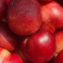 승주농장 이미지