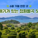 바우토피아 이미지