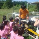 강천초 단암분교 이미지