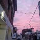 커피오소리로스터스