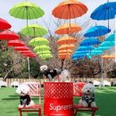 메르시 펜션 이미지