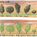★ 이철휘의 월요힐링 긍정편지 (1월 15일 월요일) -그대는 나무- 이미지