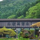 스완흑염소 이미지