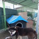 일반성면사무소 이미지