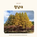 호반테니스장 | [충북 청주] 청남대 가을축제 후기 | 청주 가족 나들이, 단풍 물든 대통령별장