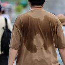 우리시민약국 이미지