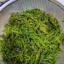 내미농박 이미지