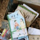 소걸음 펜션 이미지