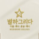 별하헤어 - 성남시 수정구 | 별하그리다 야웨스냅 헬퍼 예약후기(헤어변형가능헬퍼)