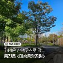 컴포즈커피 김포마송공원점 | 가을산책하기 좋은 김포 마송중앙공원