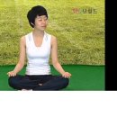 기체조 이미지