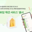 코코지나 지디넷코리아