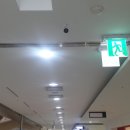 이야스콜라학원
