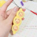 완두콩가족