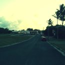 돈이농장 이미지