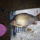 선두포낚시터 이미지