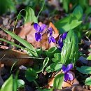 365리셋의원 | 입이 쩍 벌어진 이 치과 도대체 뭐가 다르길래?