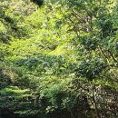 장산극장 이미지