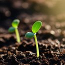 토지보상행정사 이미지