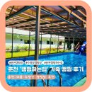 원무동길2 이미지