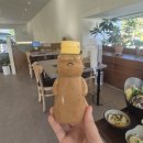 동학사 맛집 추천｜편백 향 가득한 1인 샤브샤브, 편백숲샤브길 동학사점 후기