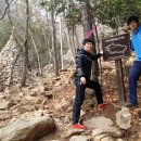 가야산 시민쉼터 이미지