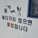 찰리오락실 | [충남애견펜션] 대전근교애견동반 여행으로 딱이었던 한적한 논산펜션 프리독펜션 힐링 후기