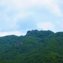 후레쉬팩토리 이미지