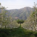 햇살찬농장 이미지