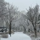 원터근린공원 이미지