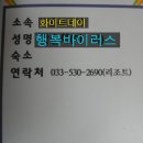 망상리조트 자동차캠핑장 이미지