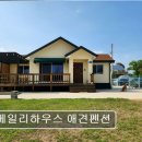 베일리하우스애견펜션 | <강릉 애견동반 펜션 숙소 추천> 베일리하우스 애견펜션 프라이빗 애견 전용 공간