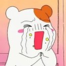 롯데과일 이미지