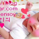 꿀용이 네이버블로그