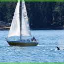 소통보청기 이미지