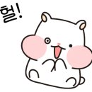 패러그린샵 - 강서구 명지국제8로 287 | 패러그린샵