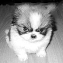 밥상머리 이미지