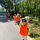 신솔정유치원 이미지