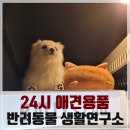 반려생활연구소 동반