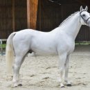 승용목장 이미지