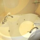 베스트웨스턴인천에어포트호텔 이미지