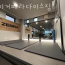 타이거 파라다이스 이미지