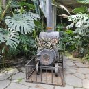 식물원옆카페 이미지