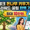 케이미래건강 | 케이뱅크 돈나무 키우기 10만원 받는 법 | 현금 리워드 방법·꿀팁 완벽 가이드