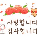조경준의원 네이버블로그