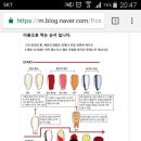 신한방사선과의원 네이버블로그