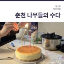 나무들의 수다 이미지