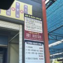 월드카워시 티스토리